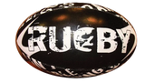 *RA Pain is Inevitable Rugby Ball - Size 5